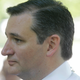 Illustration for article titled Pricing 2016 GOP Presidential Candidates Haircuts